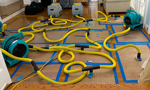 Professional Storm Water Damage Restoration technician working in Independence, MN